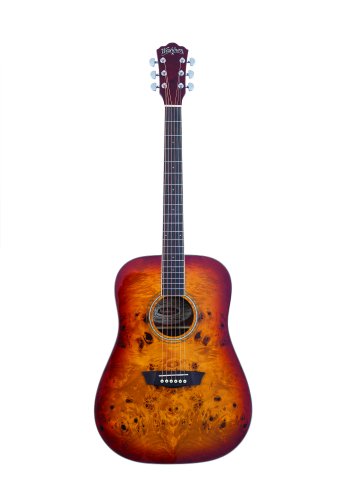 Washburn DFBDA Deep Forest Burl Dreadnought Acoustic Guitar. Amber Fade
